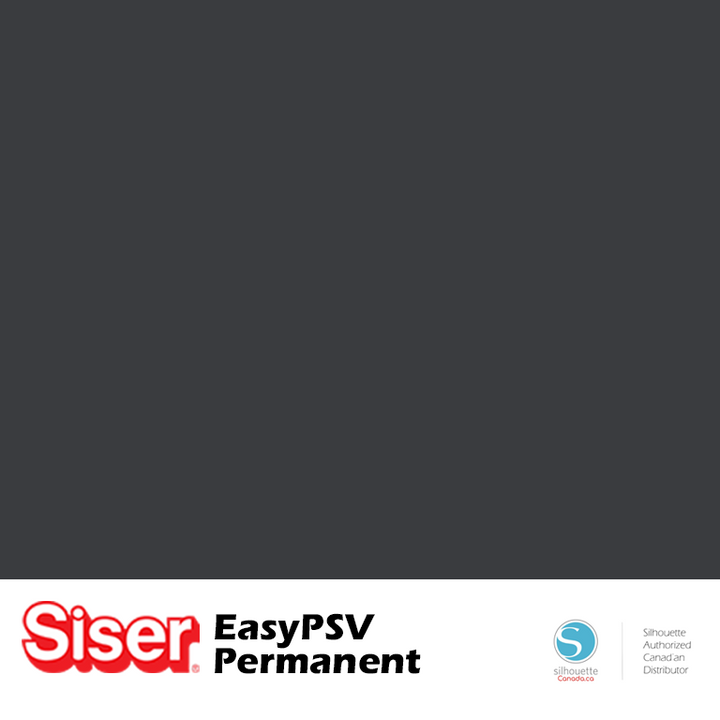 EasyPSV Permanent Vinyl - 12"